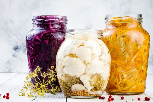 fermented-foods-for-cats-dogs
