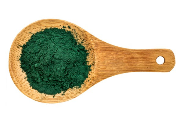 chlorella-for-cats-dogs