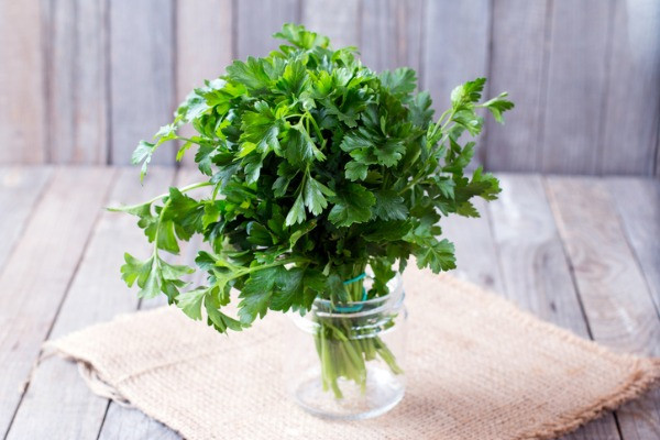 parsley-safe-for-cats-dogs